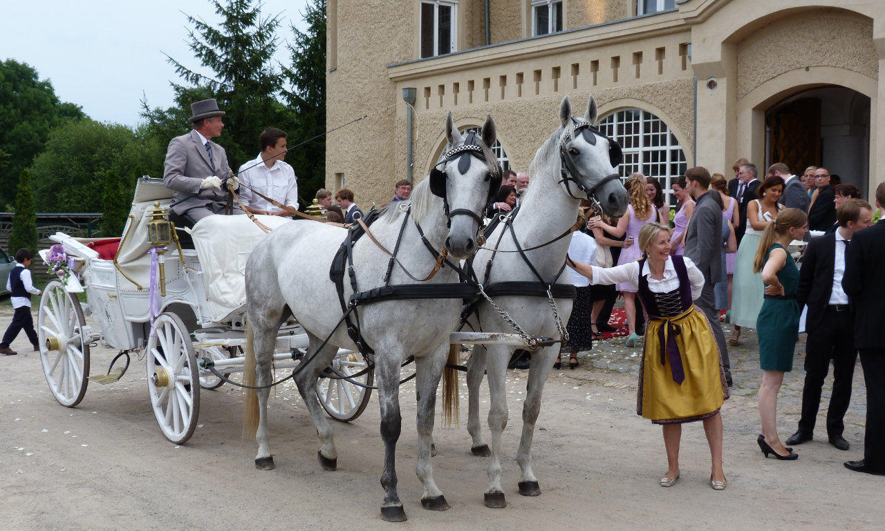 Exklusive Kutschfahrten in Wolgast - Usedom und Umgebung
